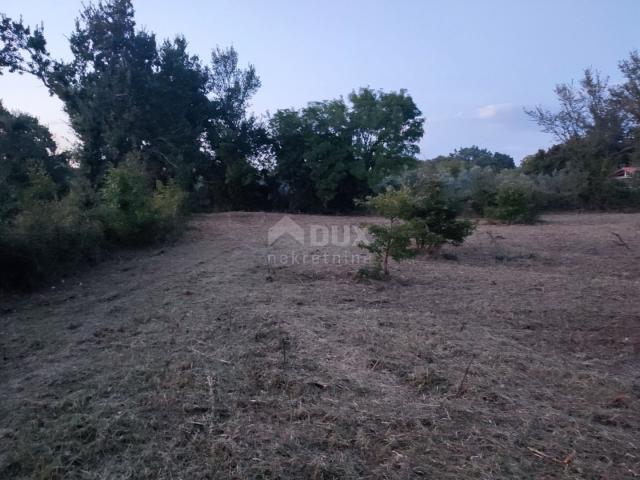 ISTRA, JURŠIĆI! Građevinsko zemljište