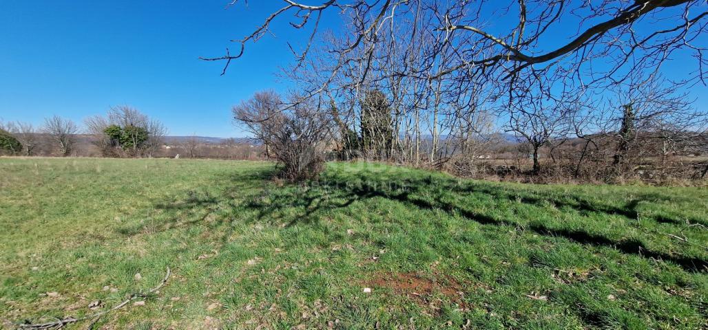 ISTRA, BARBAN - Građevinsko zemljište na mirnoj lokaciji, rub građevinske zone, pogled