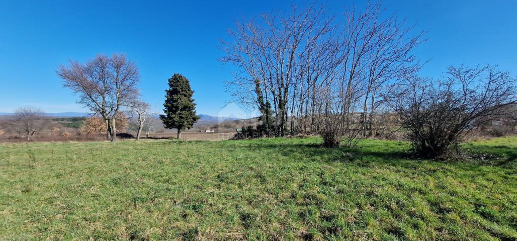 ISTRA, BARBAN - Građevinsko zemljište na mirnoj lokaciji, rub građevinske zone, pogled