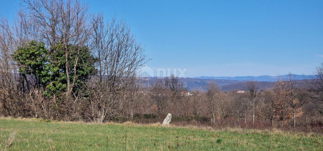 ISTRA, BARBAN - Građevinsko zemljište na mirnoj lokaciji, rub građevinske zone, pogled