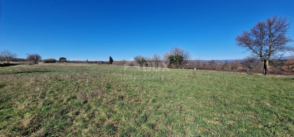 ISTRA, BARBAN - Građevinsko zemljište na savršenoj lokaciji s pogledom na Učku