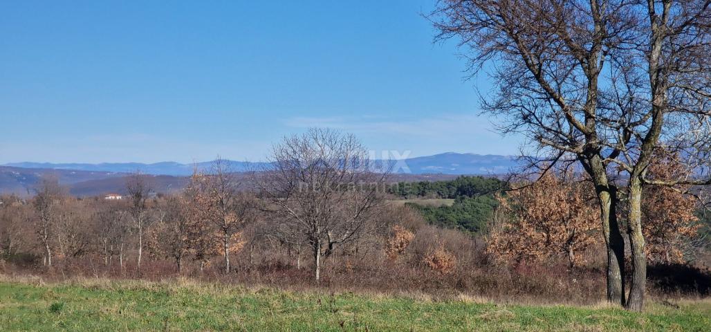 ISTRA, BARBAN - Građevinsko zemljište na savršenoj lokaciji s pogledom na Učku