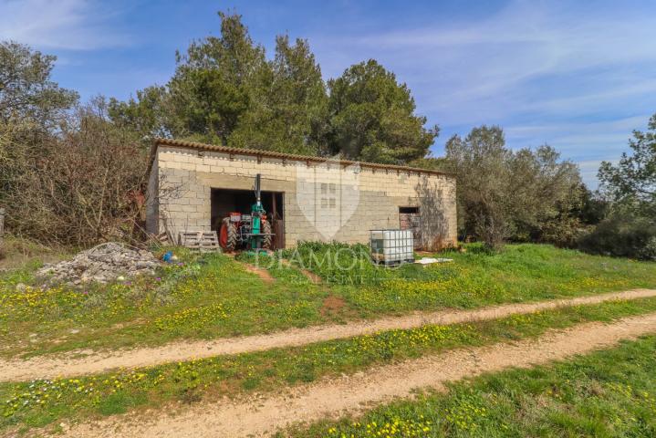 Rovinj, Umgebung, Bahnhof mit Meerblick