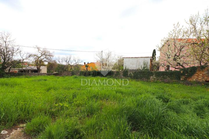 Žminj, stone house for renovation with a large garden