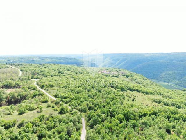 Labin, Umgebung, schönes abgelegenes Grundstück