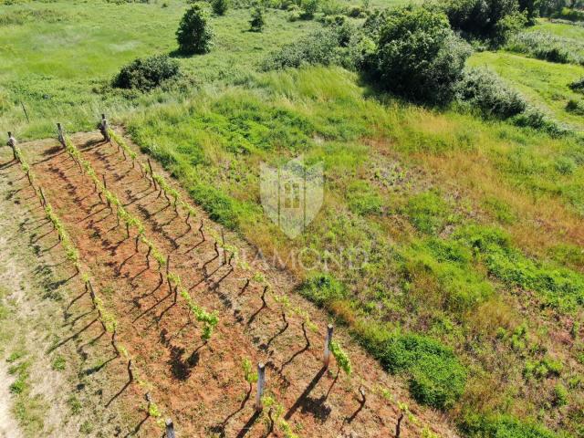 Marčana, atraktivno građevinsko zemljište