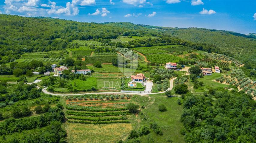 Motovun, surroundings! Land in the T2 zone with a beautiful view!