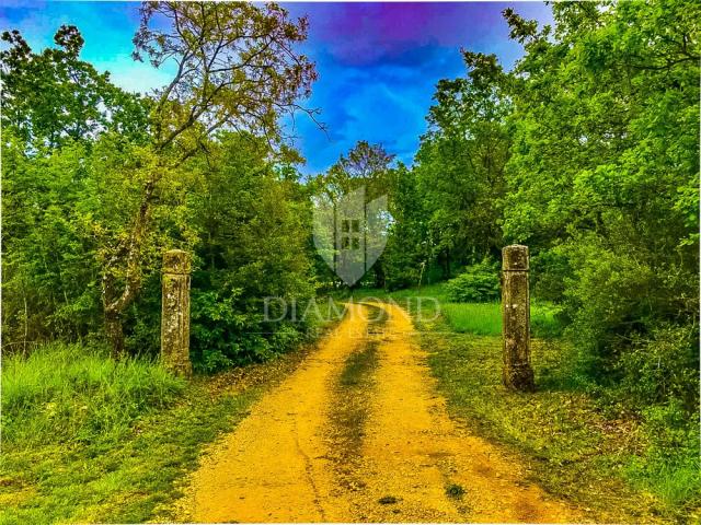 Pula, surroundings, house on a large garden, quiet location