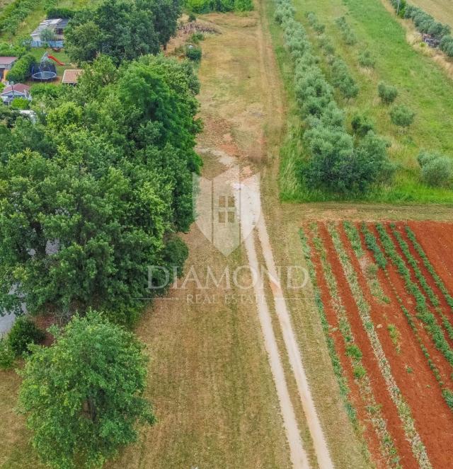 Umag, okolica! Veliko građevinsko zemljište!