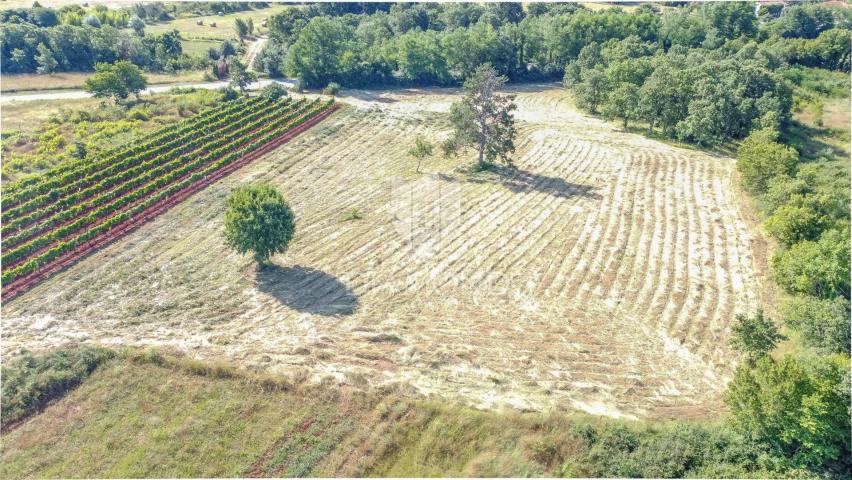 Istra, Krnica, okolica, zemljište s potencijalom 