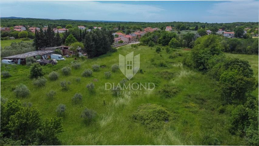 Pula, surroundings, excellent building land