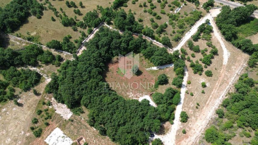 Spacious land with a project in central Istria