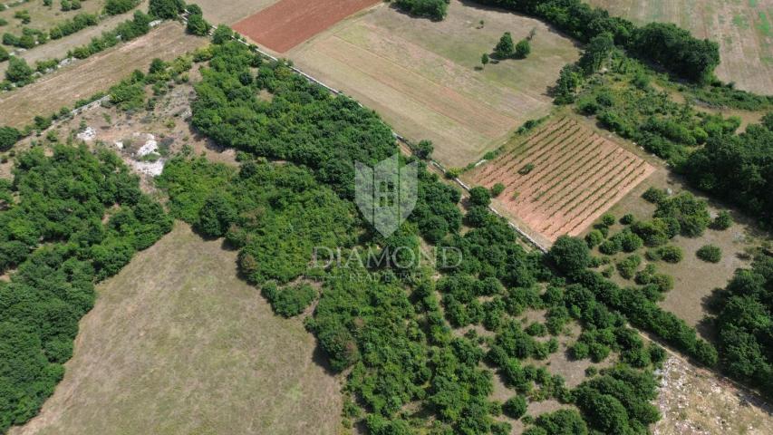 Spacious land with a project in central Istria