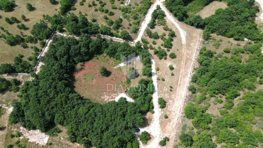 Spacious land with a project in central Istria