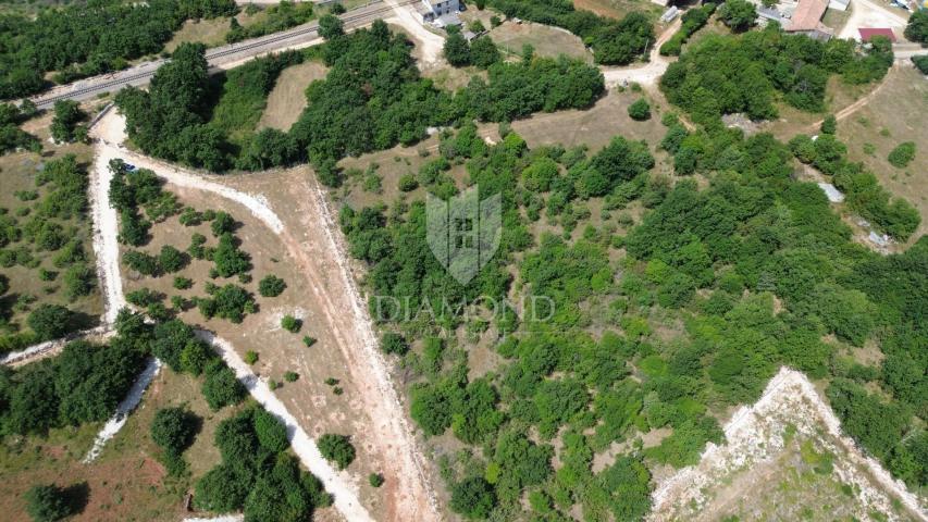 Spacious land with a project in central Istria