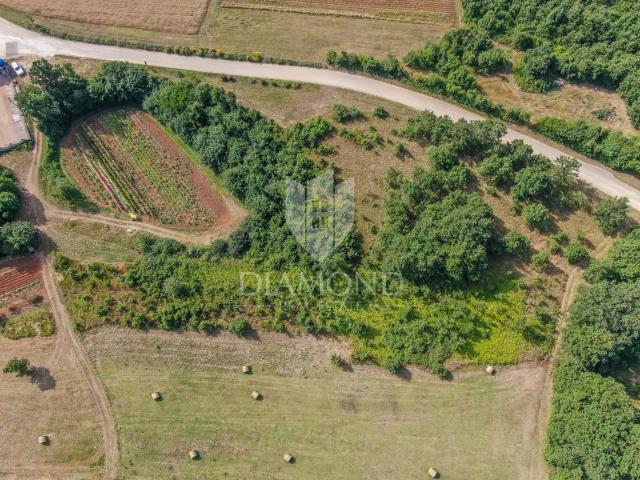 Spacious land in a quiet place not far from Svetvinčent