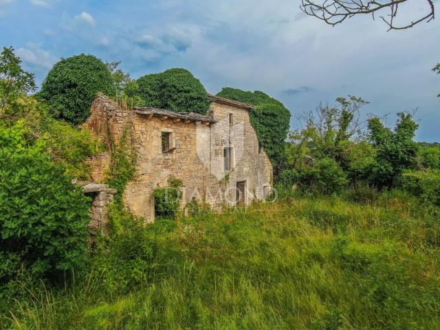 Starina za obnovu u prirodi nedaleko od Žminja