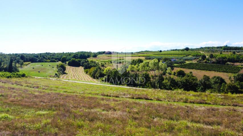 Poreč, surroundings, building plot with a fantastic view!