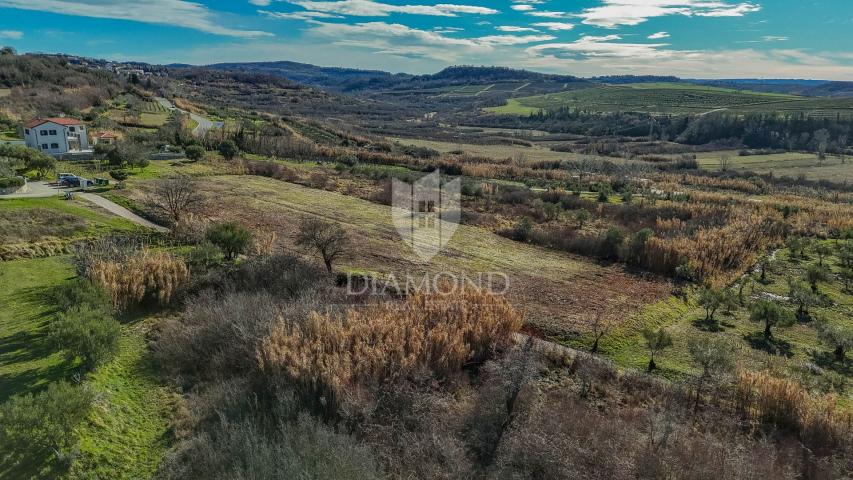 Buje! Prostrano zemljište sa panoramskim pogledom na more!