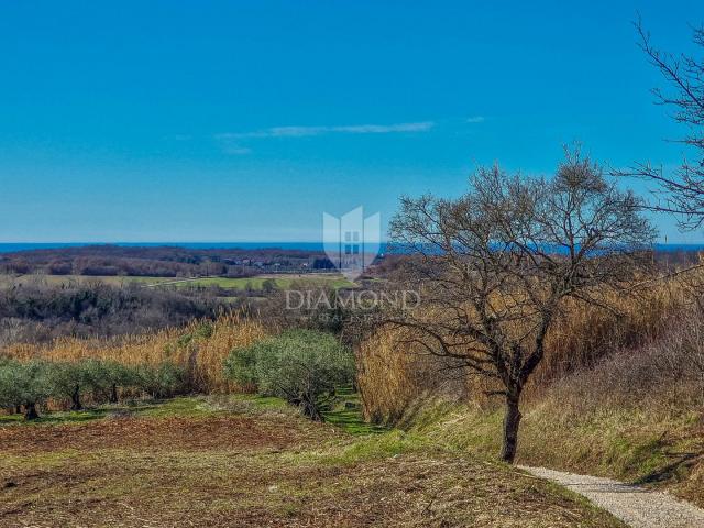 Buje! Prostrano zemljište sa panoramskim pogledom na more!