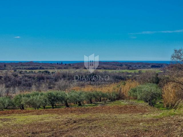 Buje! Prostrano zemljište sa panoramskim pogledom na more!