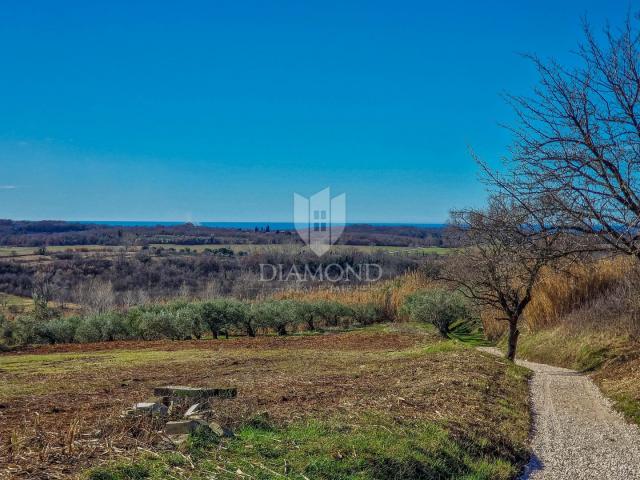 Buje! Prostrano zemljište sa panoramskim pogledom na more!