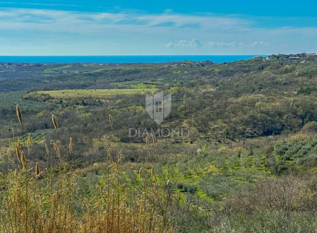 Buje, okolica. Zemljište sa panoramskim pogledom i građevinskom dozvolom!