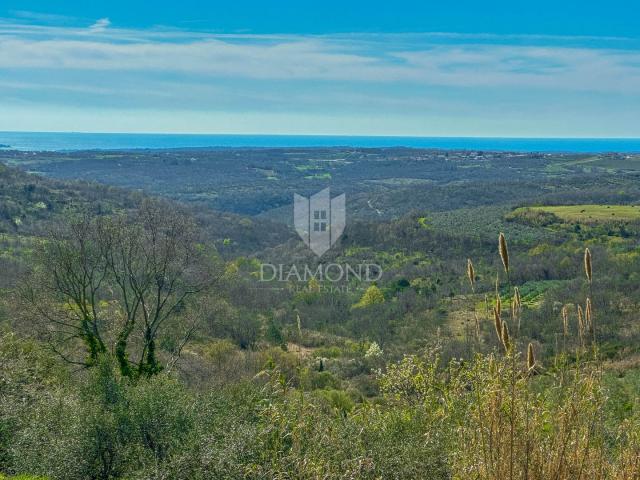 Buje, okolica. Zemljište sa panoramskim pogledom i građevinskom dozvolom!