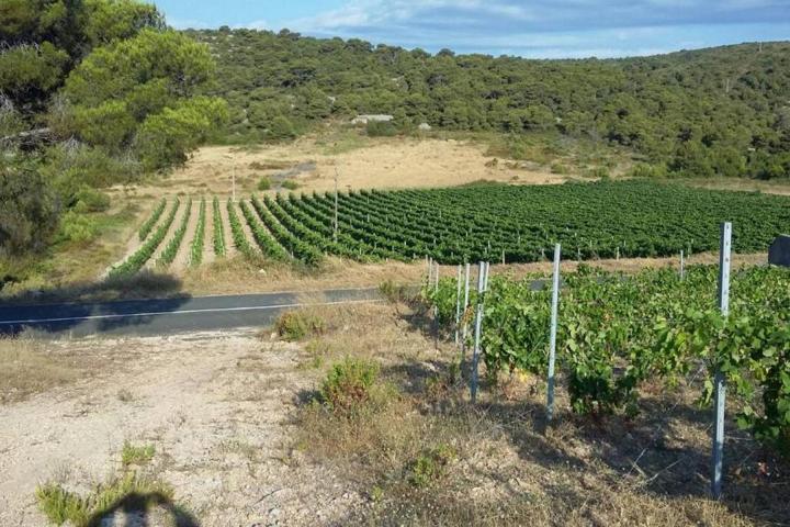 Vis, Kulor/Smokova, atraktivno zemljište površine 23453 m2 sa pogledom na more