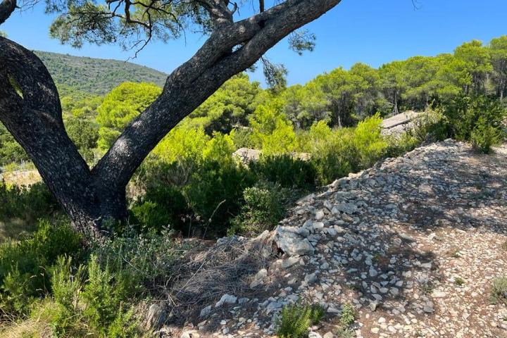 Vis, Kulor/Smokova, atraktivno zemljište površine 23453 m2 sa pogledom na more