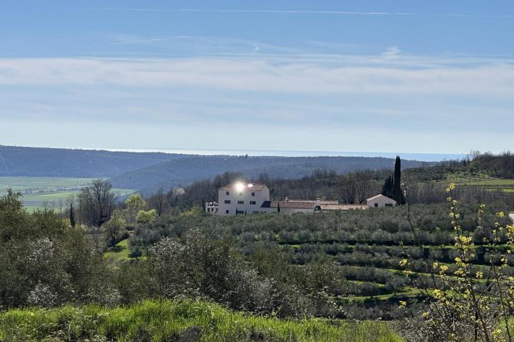 Istra, Buje - građevinsko zemljište 1335 m2 - pogled na more i zelenilo