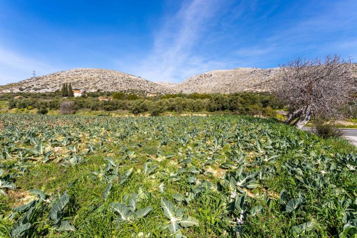 Trogir, Krban, građevinsko zemljište s pogledom na more