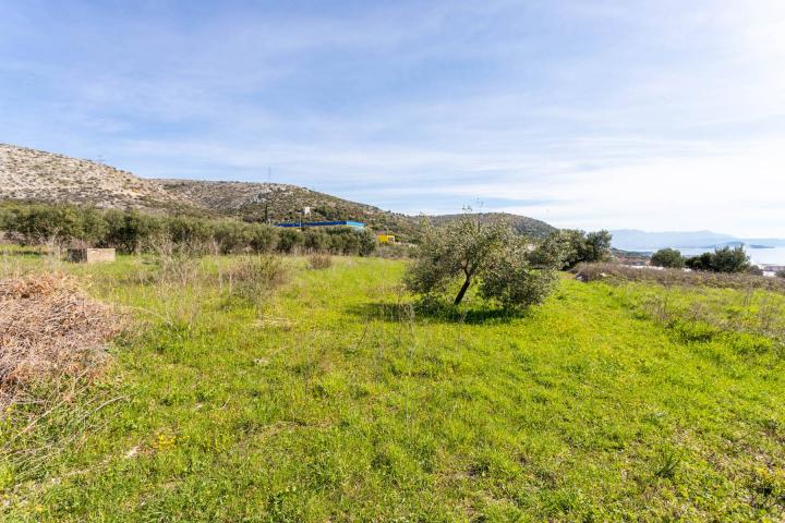 Trogir, Krban, građevinsko zemljište s pogledom na more