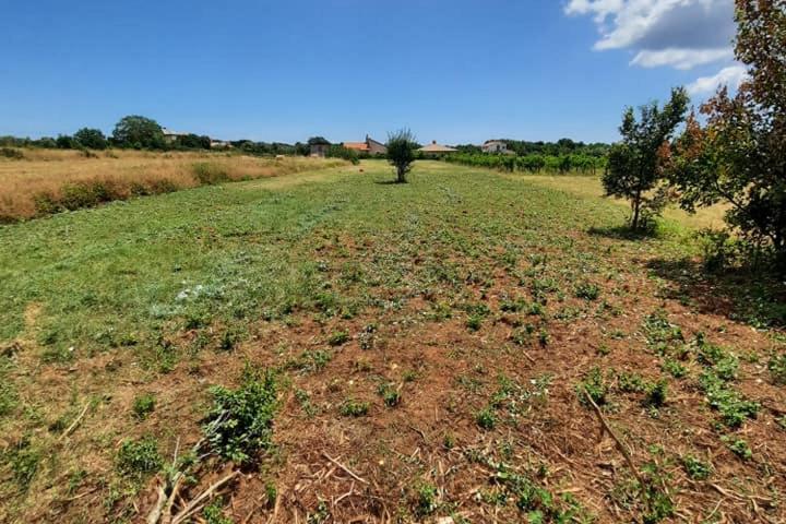 Istra, Muntić - građevinsko zemljište na mirnoj lokaciji uz cestu 904 m2