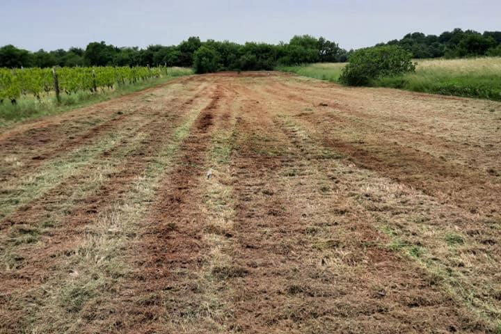 Istra, Muntić - građevinsko zemljište na mirnoj lokaciji uz cestu 904 m2