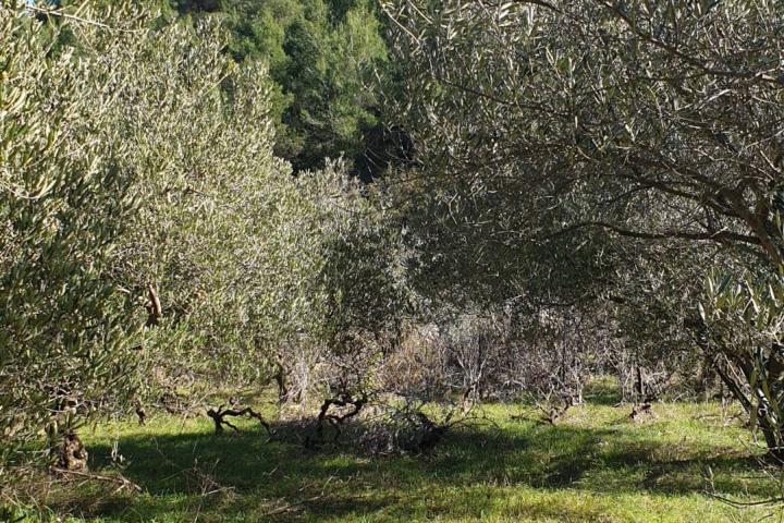 Hvar, Jelsa poljoprivredno zemljište s pogledom na more