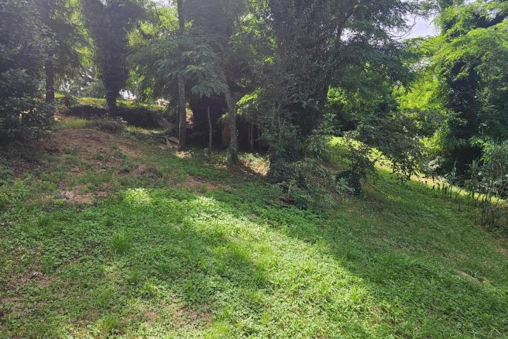 Istra, Tadini, građevinsko zemljište 1109m2 na rubu sela