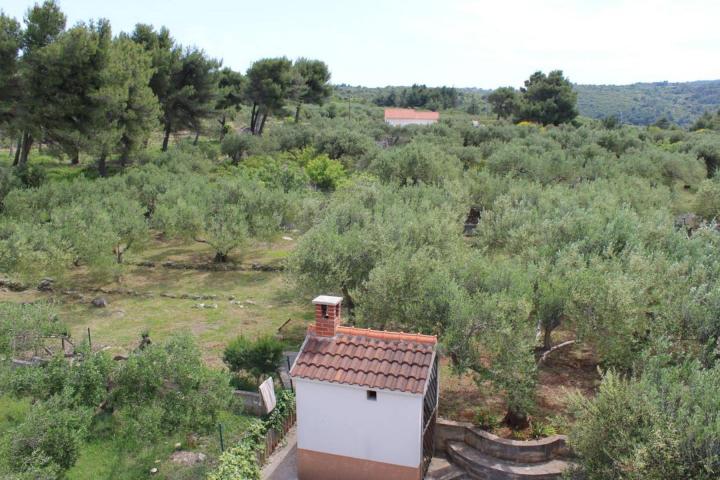 Brač, Splitska, apartmanska kuća s pogledom