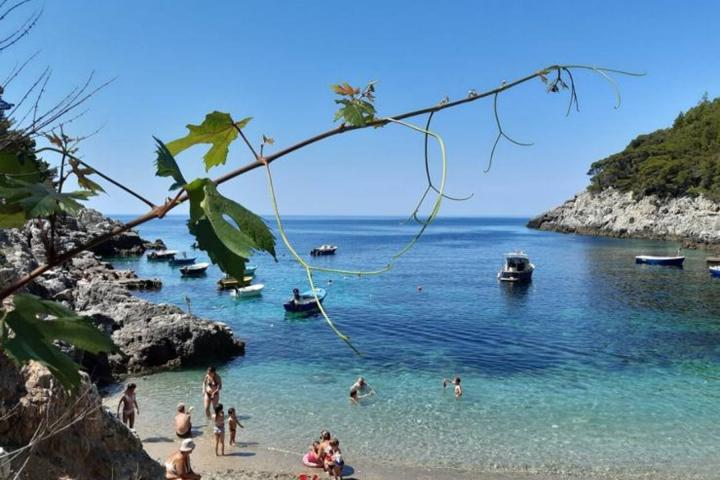 Mljet, Babino Polje Građevinsko zemljište 6. 515 m2 (70m od mora)