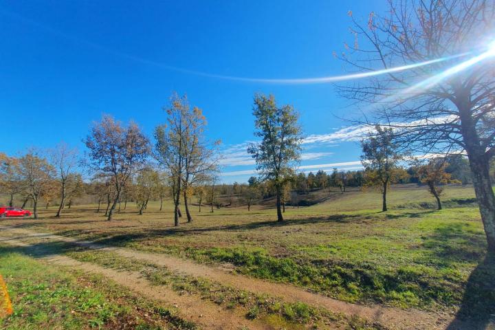 Poreč, okolica - lijepo građevinsko zemljište NKP 842 m2 pravilnog oblika 