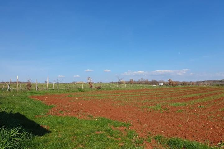 Istra, Kaštelir, građevinsko zemljište s pogledom na more