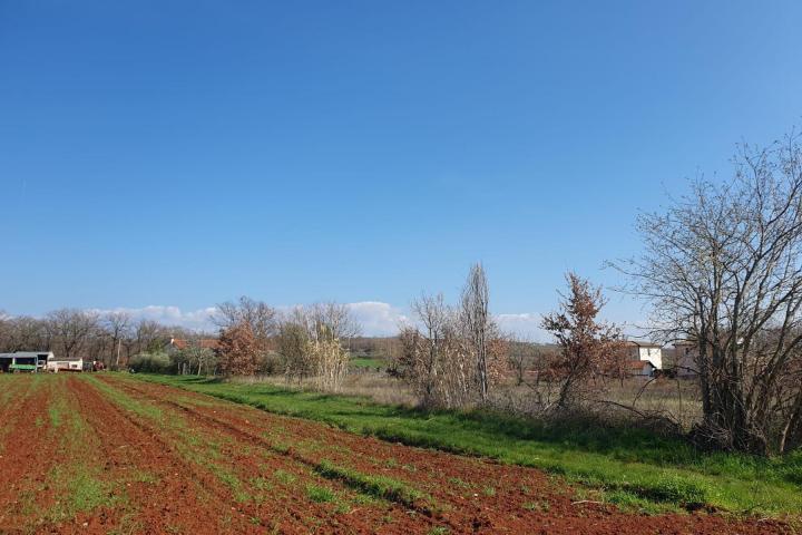 Istra, Kaštelir, građevinsko zemljište s pogledom na more