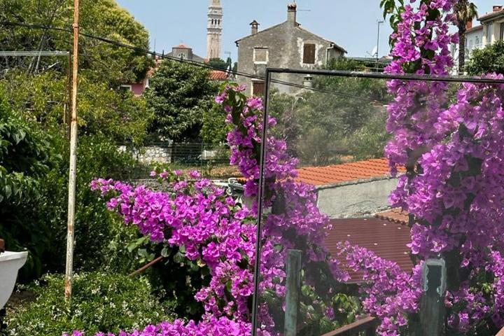 Istra, Rovinj, kamena obiteljska kuća u centru grada