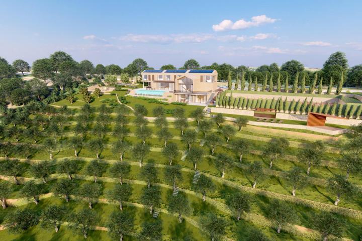 Istra, zemljište 5. 800 m2 s panoramskim pogledom na Motovun i pravomoćnom građevinskom dozvolom