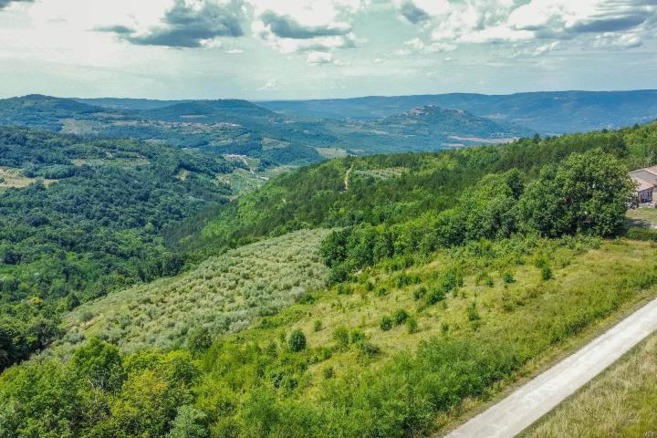 Istra, zemljište 5. 800 m2 s panoramskim pogledom na Motovun i pravomoćnom građevinskom dozvolom