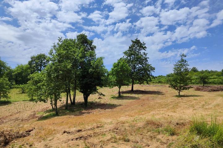 Barban, Rojnići - prekrasno pravokutno građevinsko zemljište 693 m2 