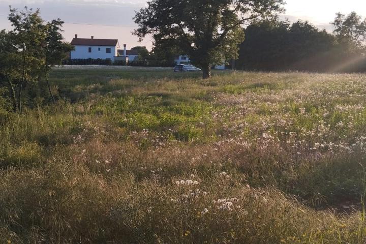 Zabrežani okolica, građevinsko zemljište 1165 m2, ravno i očišćeno