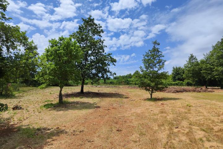 Barban, Rojnići - prekrasno pravokutno građevinsko zemljište 861 m2 