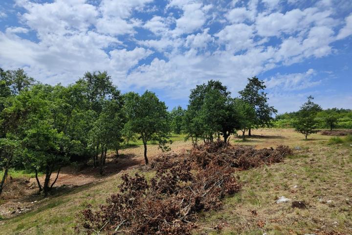 Barban, Rojnići - prekrasno pravokutno građevinsko zemljište 861 m2 