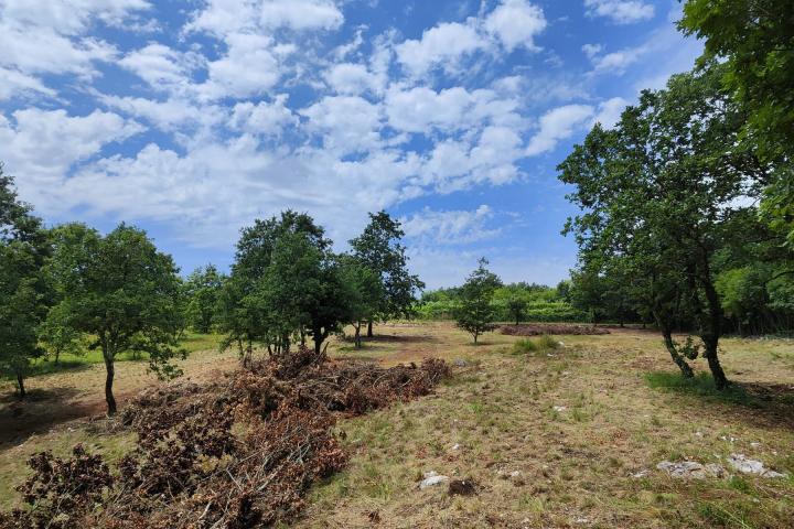 Barban, Rojnići - prekrasno pravokutno građevinsko zemljište 861 m2 